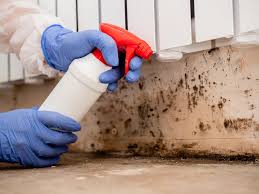 Biohazard Mold Removal in Bellaire, OH